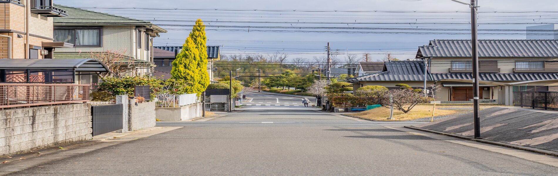 TRIGGER Co., Ltd